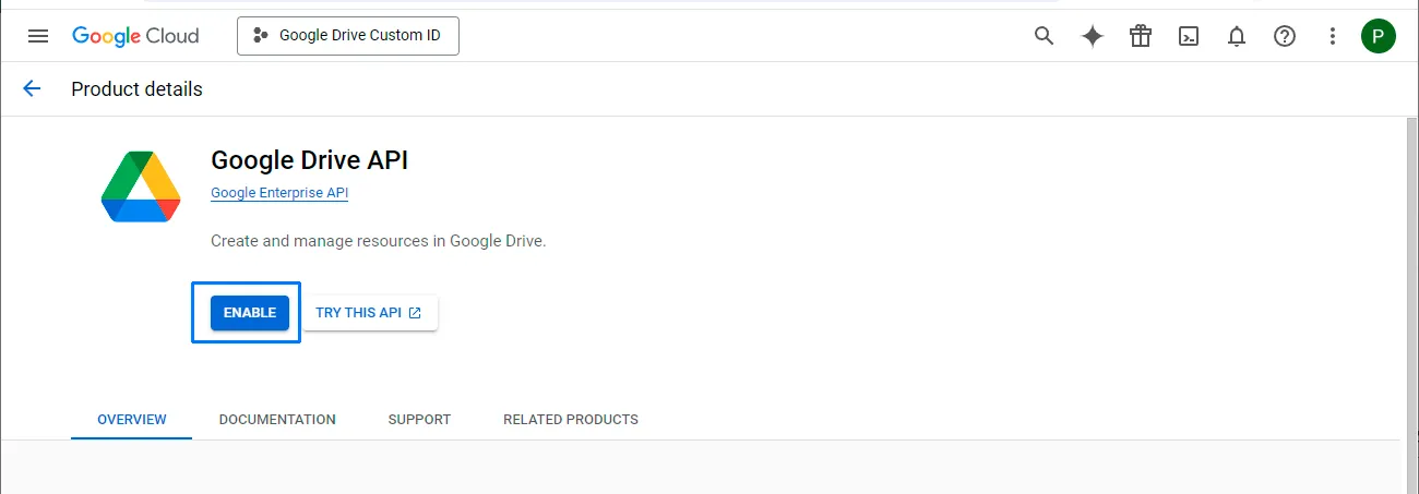 Google Drive API details page